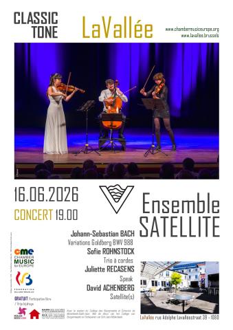 Ensemble Satellite