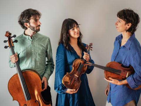 Ensemble Satellite
