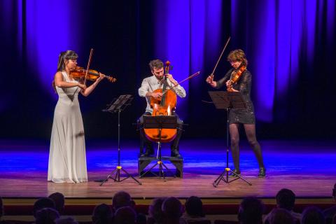 Ensemble Satellite